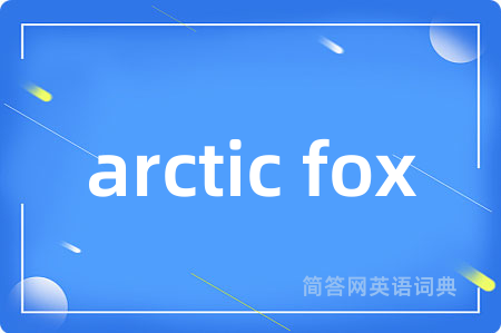 arctic fox