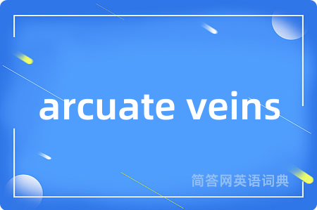 arcuate veins