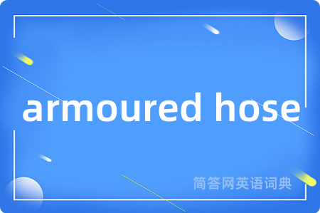 armoured hose