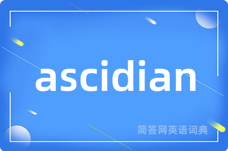 ascidian
