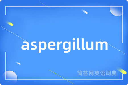 aspergillum是什么意思,aspergillum的中文翻译 aspergillum