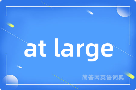 at large是什么意思,at large的中文翻译 at large