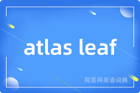 atlas leaf是什么意思,atlas leaf的中文翻译 atlas leaf