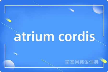 atrium cordis
