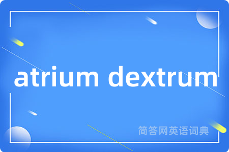 atrium dextrum