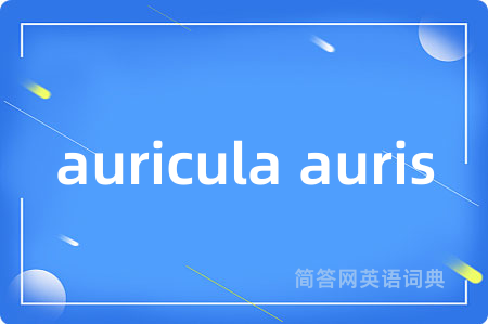 auricula auris