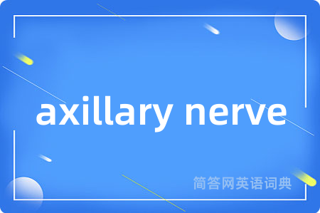 axillary nerve