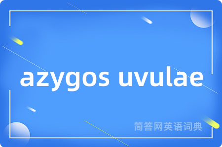 azygos uvulae是什么意思,azygos uvulae的中文翻译 azygos uvulae