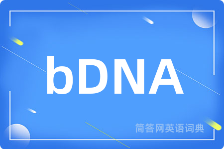 bDNA