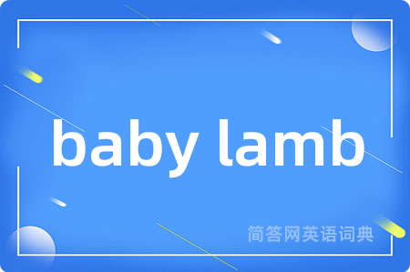 baby lamb