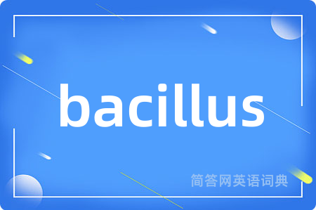 bacillus