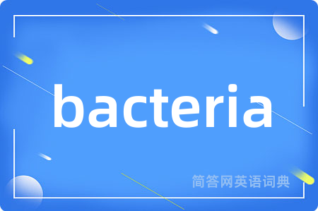bacteria