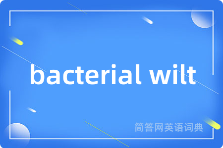 bacterial wilt