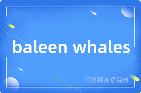 baleen whales是什么意思,baleen whales的中文翻译 baleen whales
