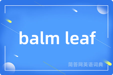 balm leaf