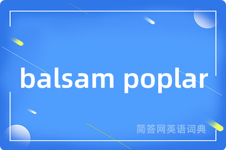 balsam poplar是什么意思,balsam poplar的中文翻译 balsam poplar