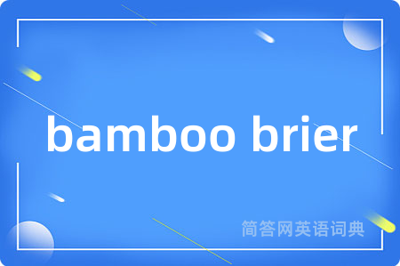 bamboo brier