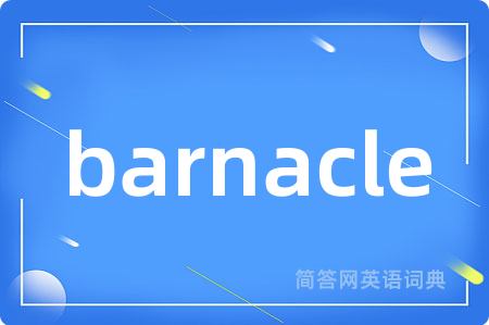 barnacle