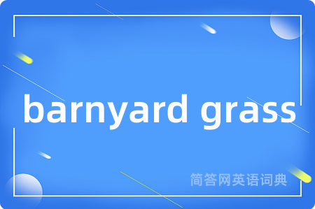 barnyard grass是什么意思,barnyard grass的中文翻译 barnyard grass