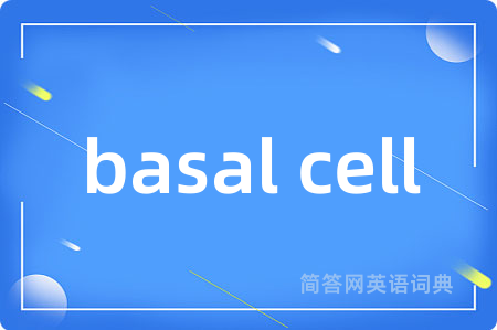 basal cell