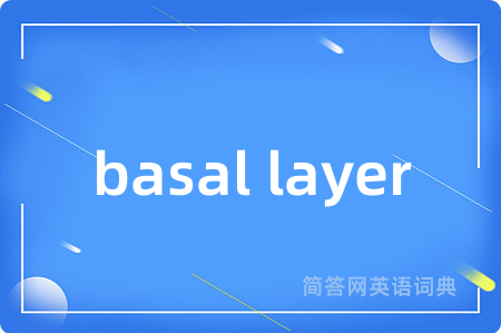 basal layer
