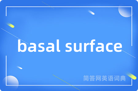basal surface