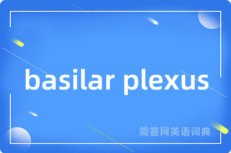 basilar plexus