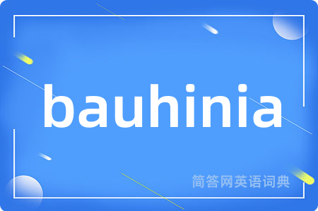 bauhinia是什么意思,bauhinia的中文翻译 bauhinia