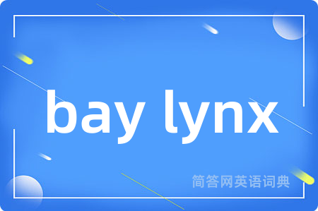 bay lynx