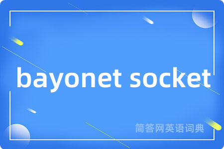 bayonet socket