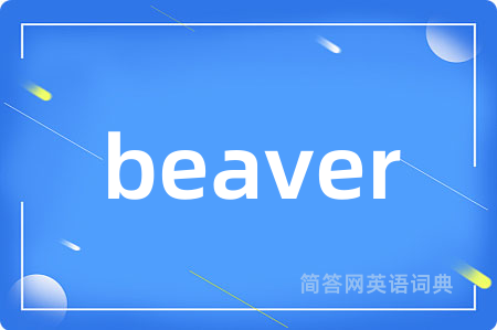 beaver是什么意思,beaver的中文翻译 beaver