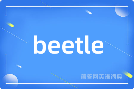 beetle