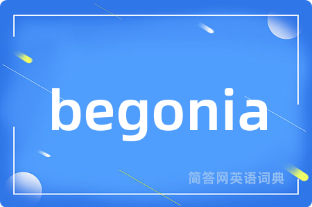 begonia是什么意思,begonia的中文翻译 begonia