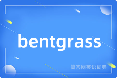 bentgrass是什么意思,bentgrass的中文翻译 bentgrass