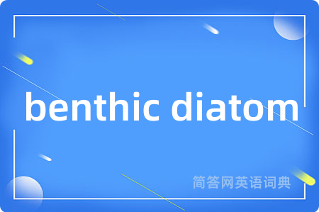 benthic diatom