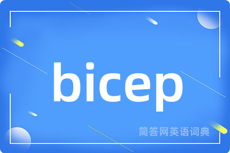 bicep是什么意思,bicep的中文翻译 bicep