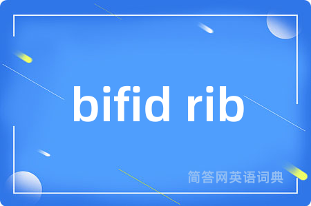 bifid rib