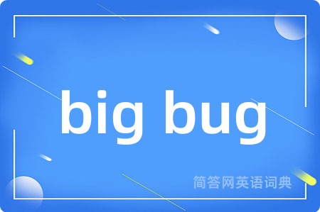 big bug是什么意思,big bug的中文翻译 big bug
