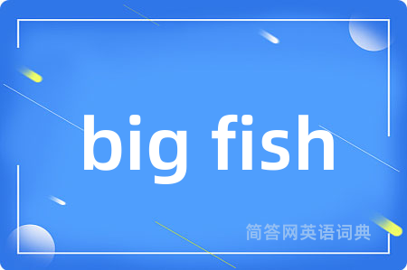 big fish是什么意思,big fish的中文翻译 big fish
