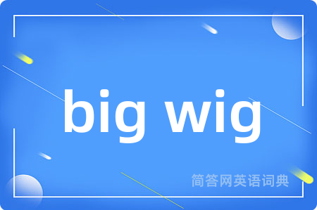 big wig