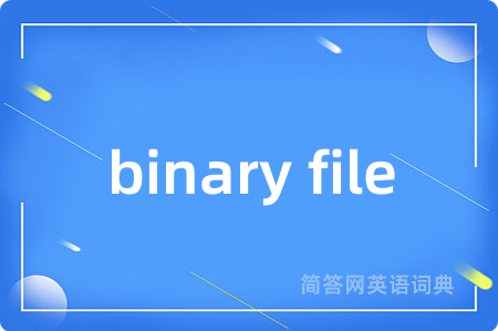 binary file