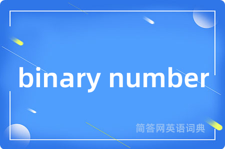 binary number