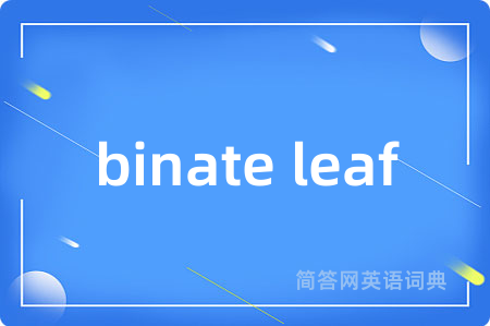 binate leaf是什么意思,binate leaf的中文翻译 binate leaf