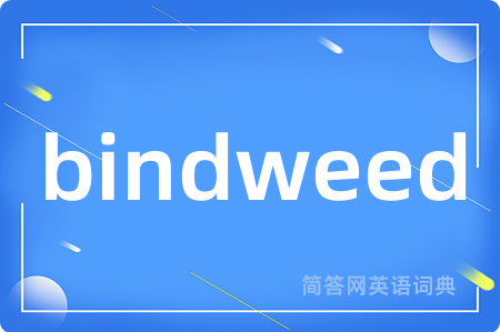 bindweed