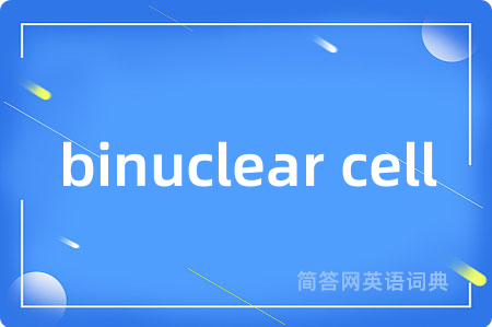 binuclear cell是什么意思,binuclear cell的中文翻译 binuclear cell