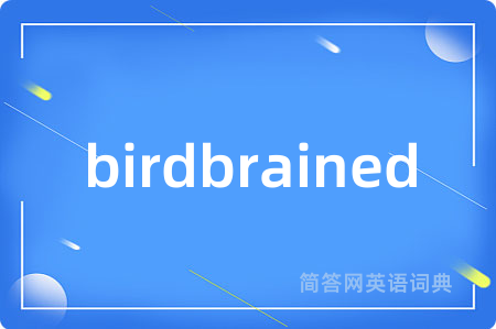 birdbrained是什么意思,birdbrained的中文翻译 birdbrained
