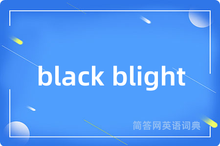 black blight