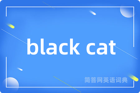 black cat