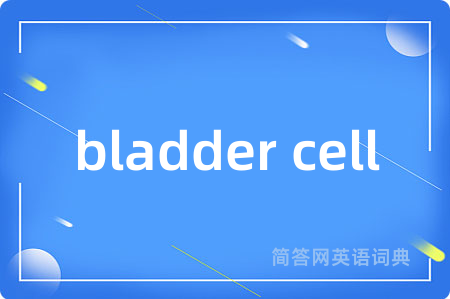 bladder cell