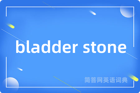 bladder stone